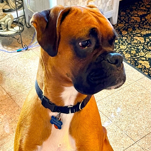 Accessorize Other - MAKE ME AN OFFER. We’re ALL WINNERS. !!👍😉👚👕👗🩱👙👠🥿🩴🥻👘🥾🧤👒🩳🥻🐶🐾💕